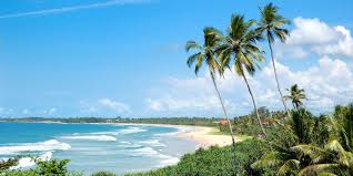 Pourquoi investir au Sri Lanka en 2026 ?